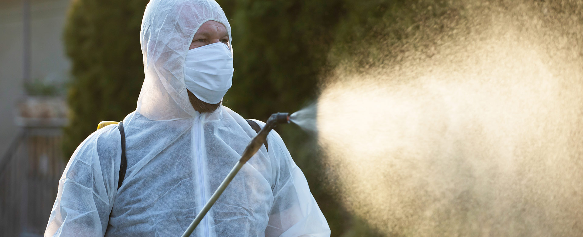 img-slide-ecoffice-disinfestazione-e-derattizzazione