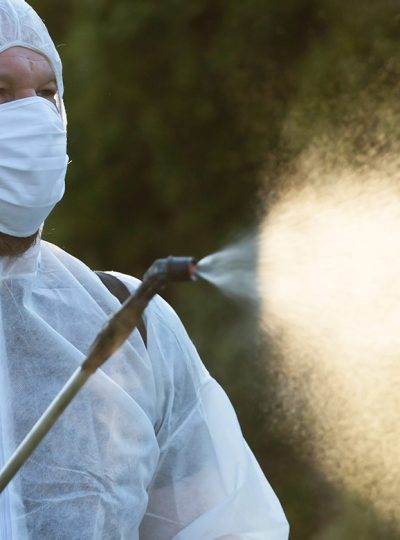 img-slide-ecoffice-disinfestazione-e-derattizzazione